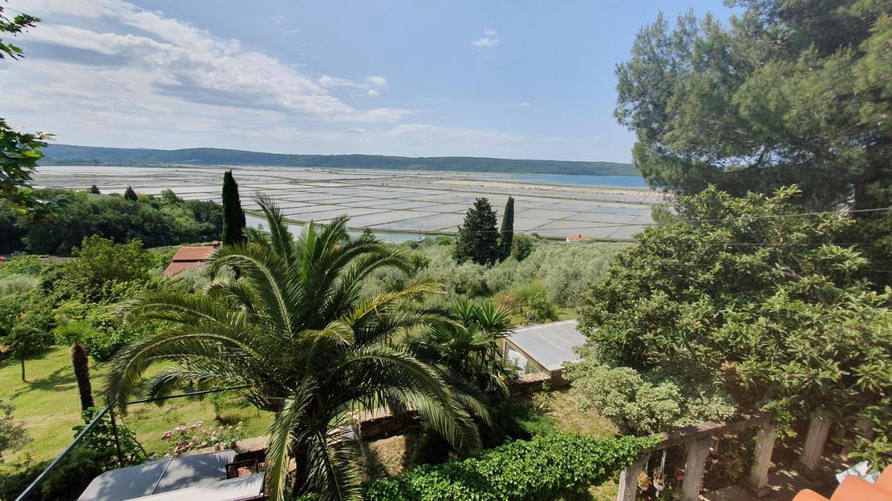 Apartment Laurus Πορτορόζ Εξωτερικό φωτογραφία