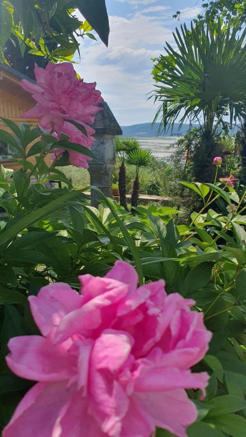 Apartment Laurus Πορτορόζ Εξωτερικό φωτογραφία
