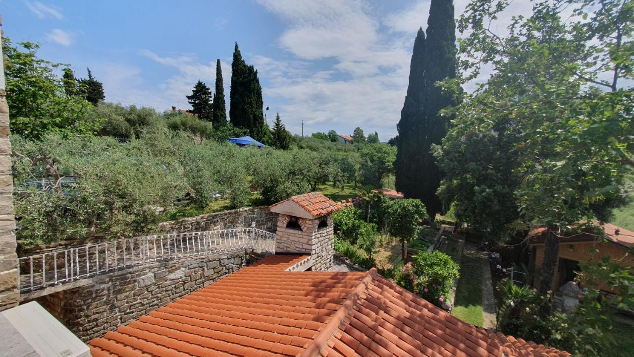 Apartment Laurus Πορτορόζ Εξωτερικό φωτογραφία