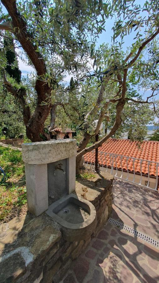 Apartment Laurus Πορτορόζ Εξωτερικό φωτογραφία