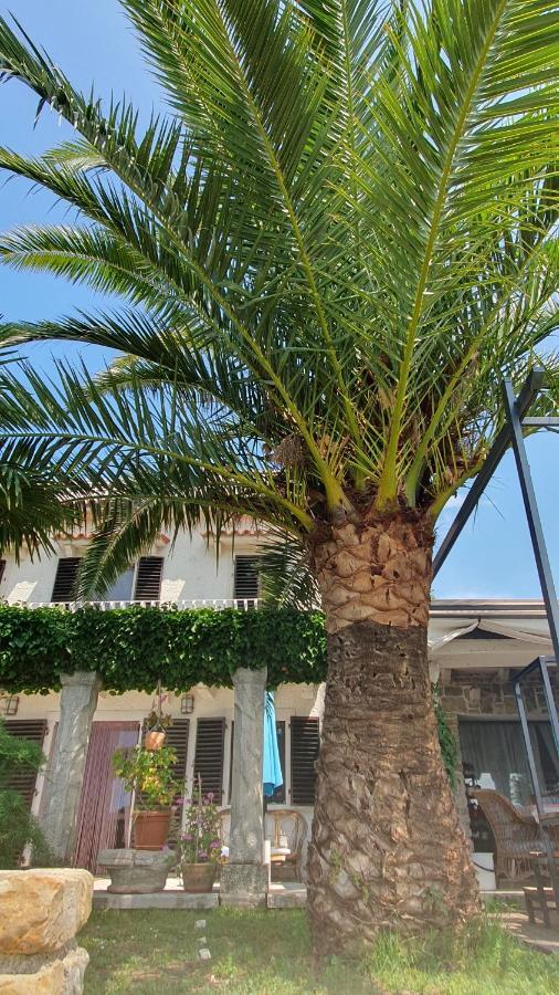 Apartment Laurus Πορτορόζ Εξωτερικό φωτογραφία