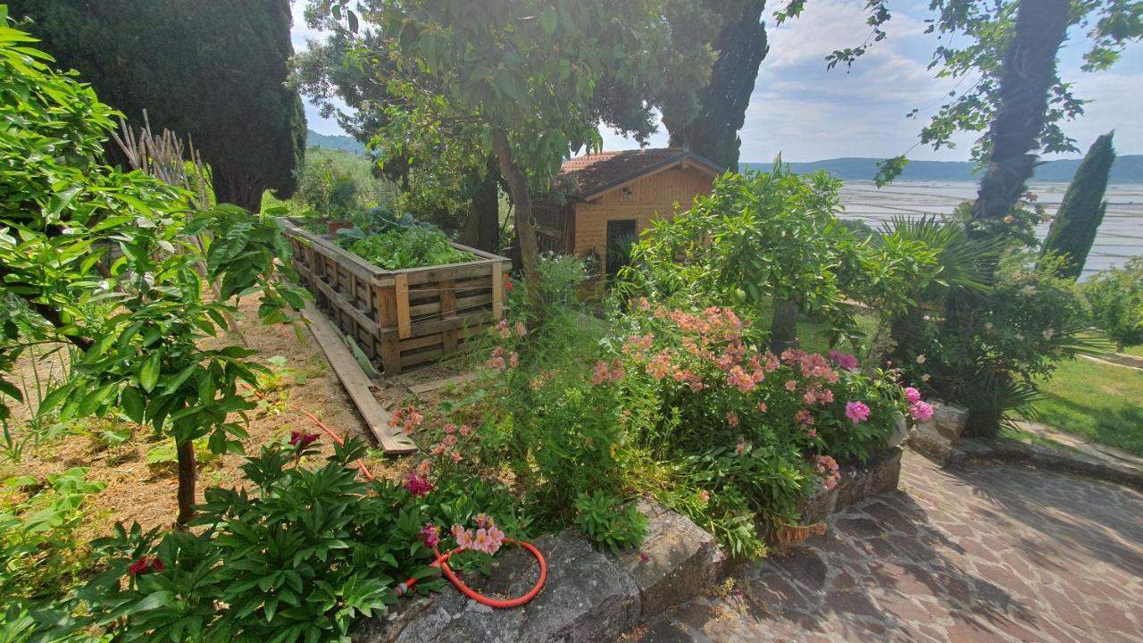 Apartment Laurus Πορτορόζ Εξωτερικό φωτογραφία