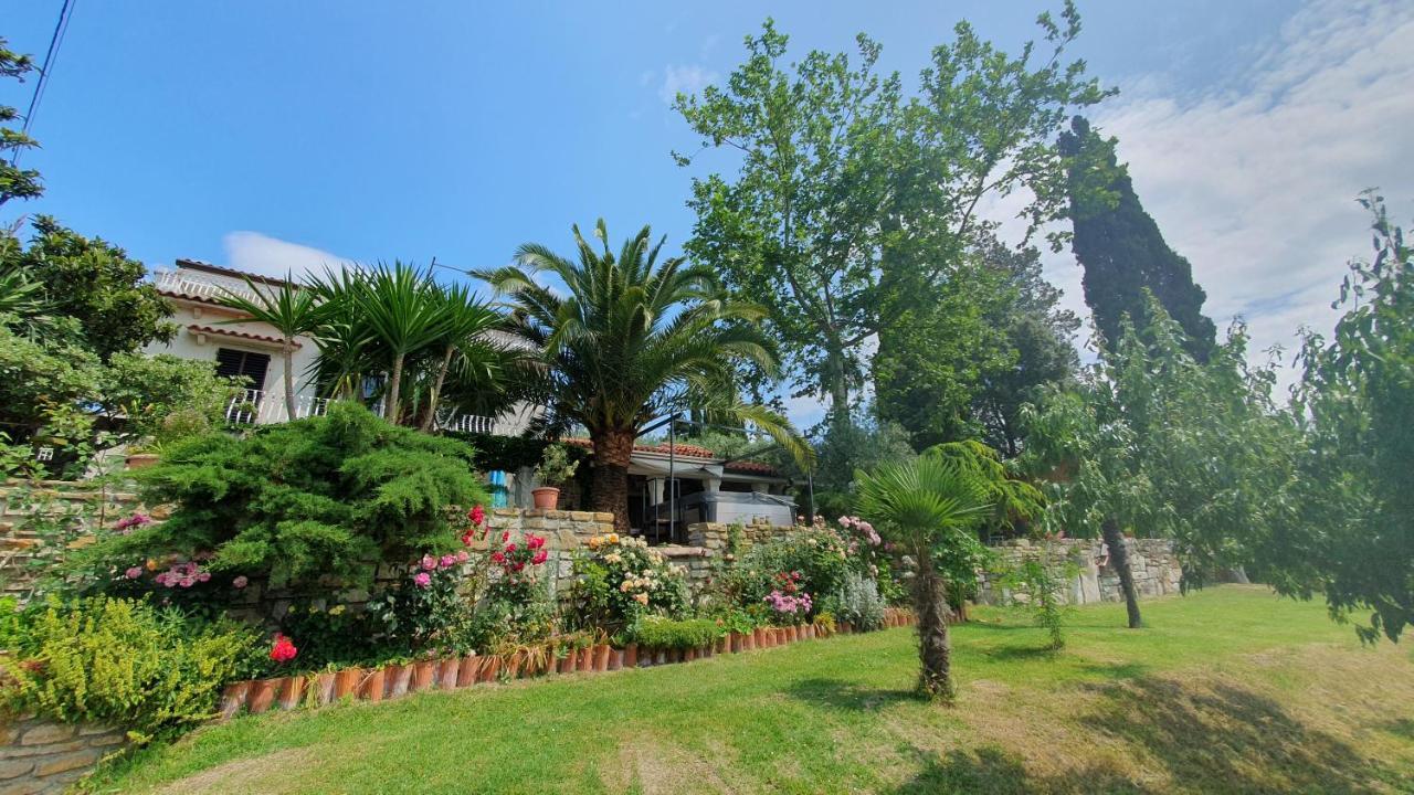 Apartment Laurus Πορτορόζ Εξωτερικό φωτογραφία