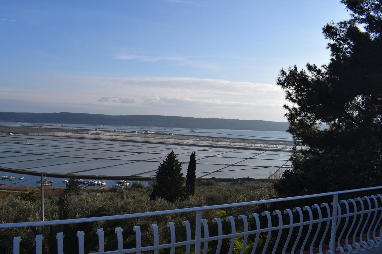 Apartment Laurus Πορτορόζ Εξωτερικό φωτογραφία