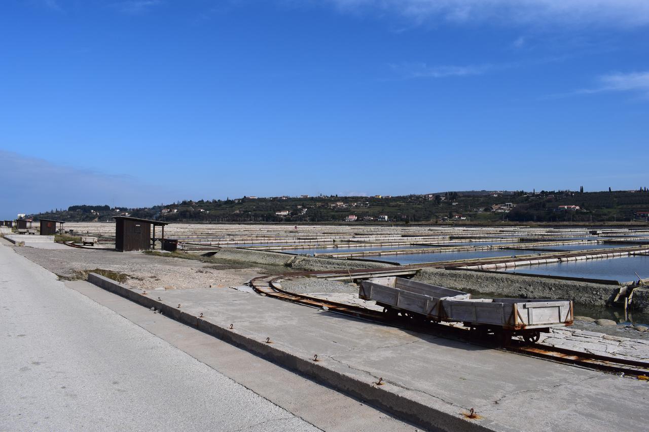 Apartment Laurus Πορτορόζ Εξωτερικό φωτογραφία