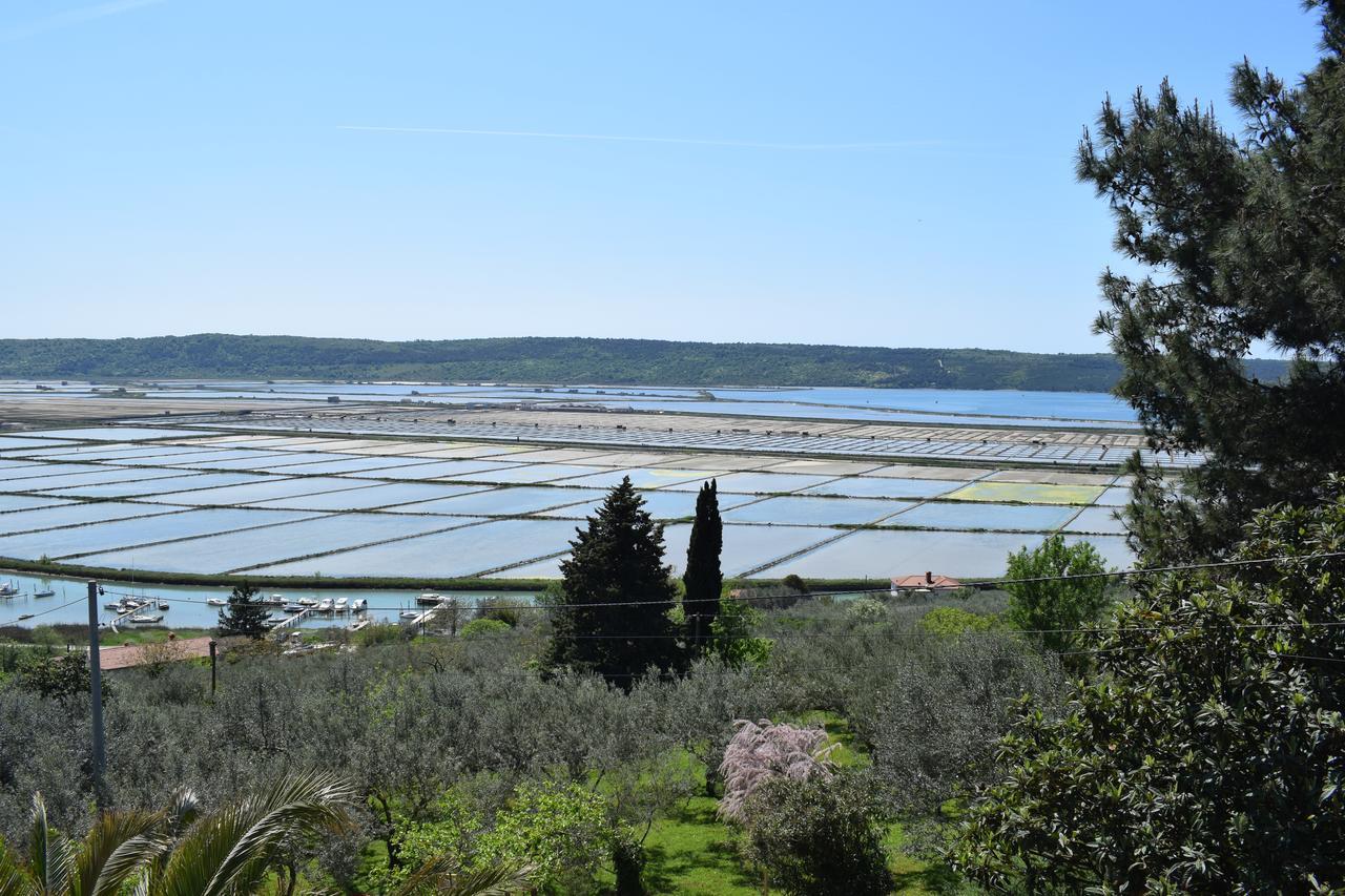 Apartment Laurus Πορτορόζ Εξωτερικό φωτογραφία
